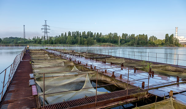 Custom Cloud SCADA Development for Water Use in Fish Hatcheries